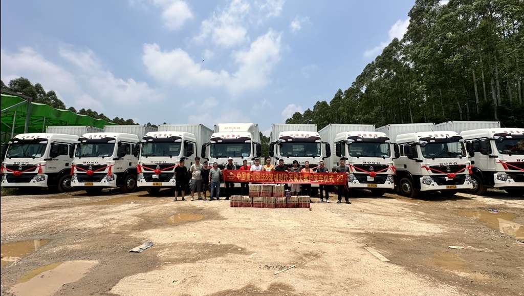 China National Heavy Duty Truck Group (CNHTC) Howo Heavy Truck August Delivery Celebration: Witness the Glory of the Moment!