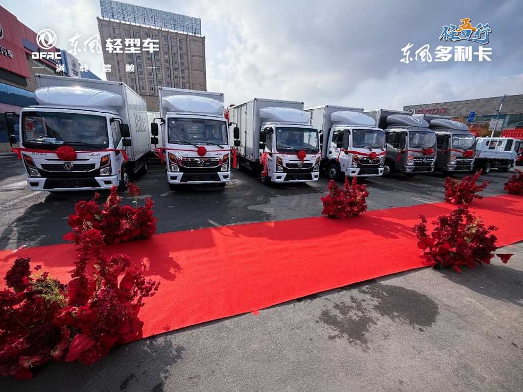 Dongfeng Dolica – Multi-Line Strategy, Phenomenal Start!